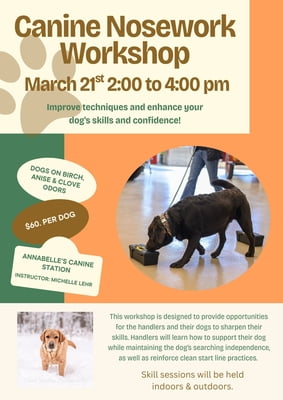 Canine Nosework Workshop