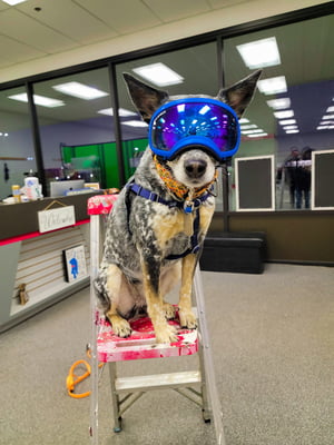 Parkour Skills: Build Confidence, Strength, and Fun