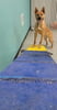 Hidden Potential Beginner Agility