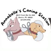 AnnaBelles Canine Station AnnaBelles Canine Station