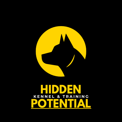 Kim Mayhew - Hidden Potential